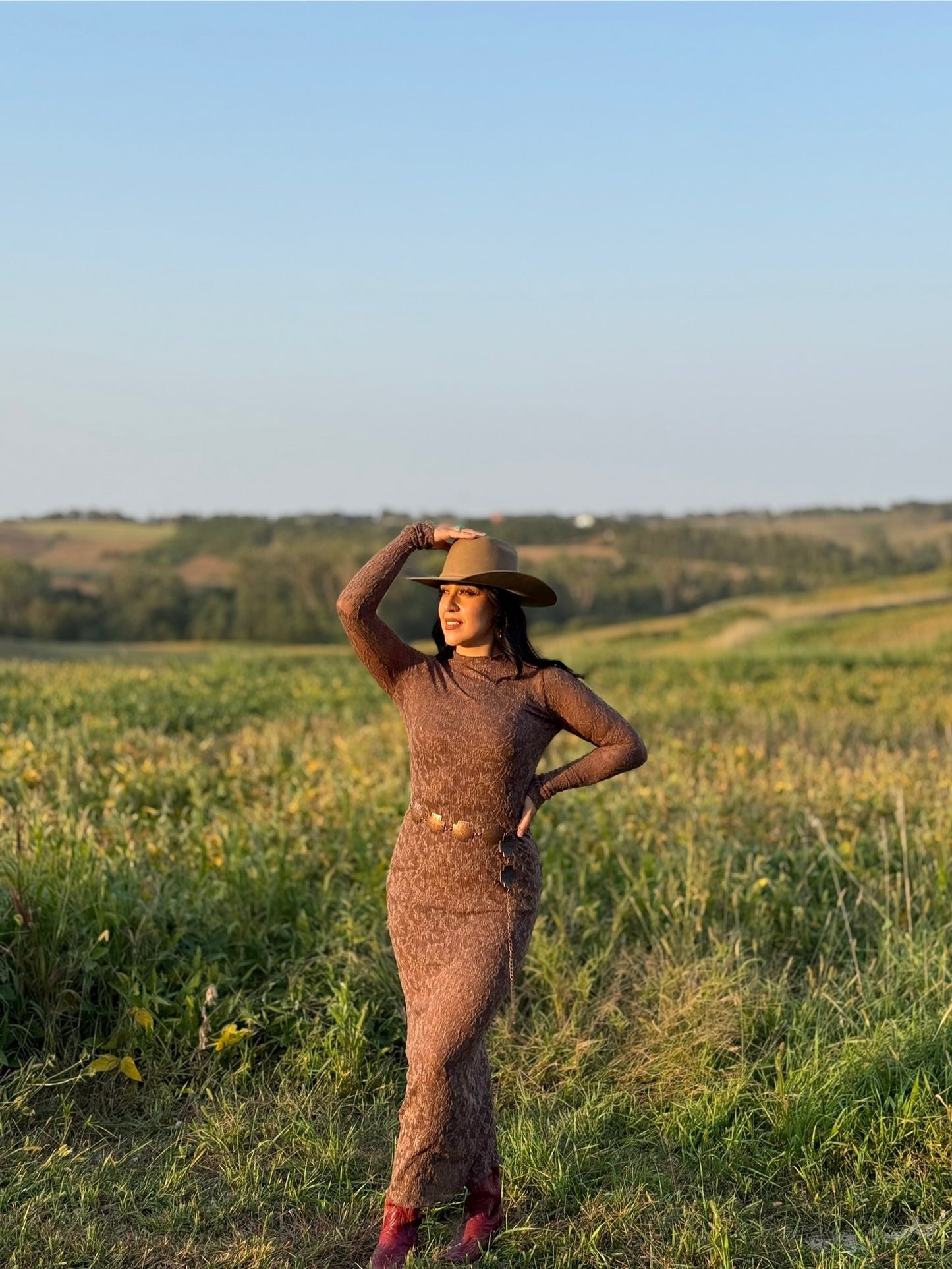 Mocha Dress