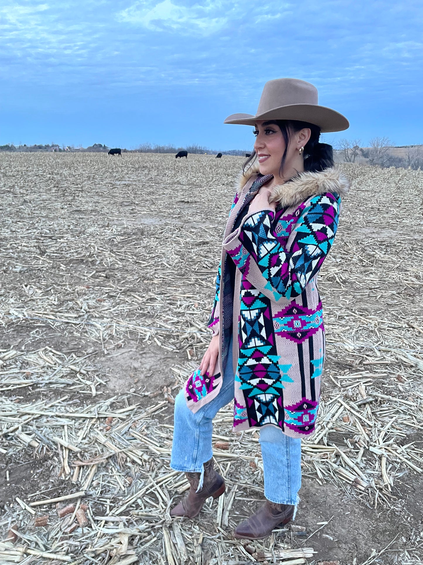 Aztec Purple Cardigan